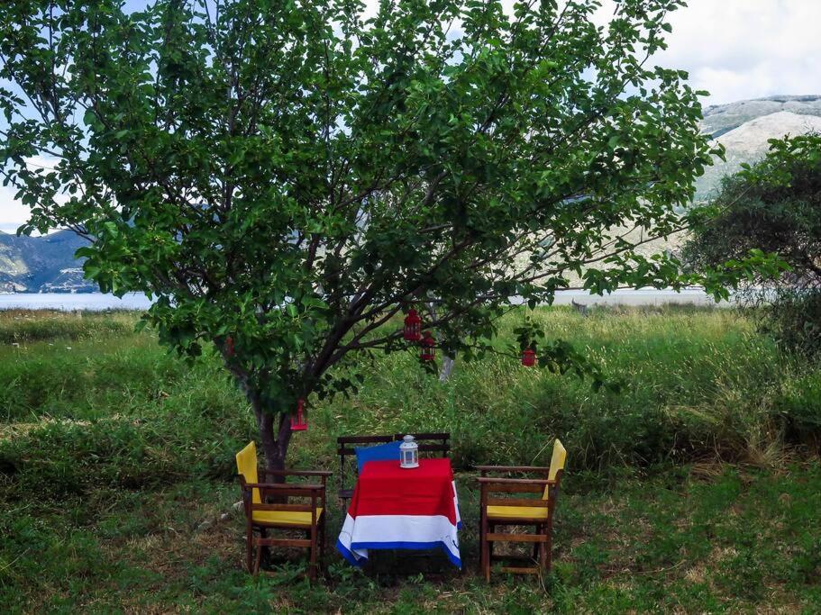 Villa Rania: Ευάερη Βίλα Με Θέα Τη Θάλασσα Lixouri Esterno foto