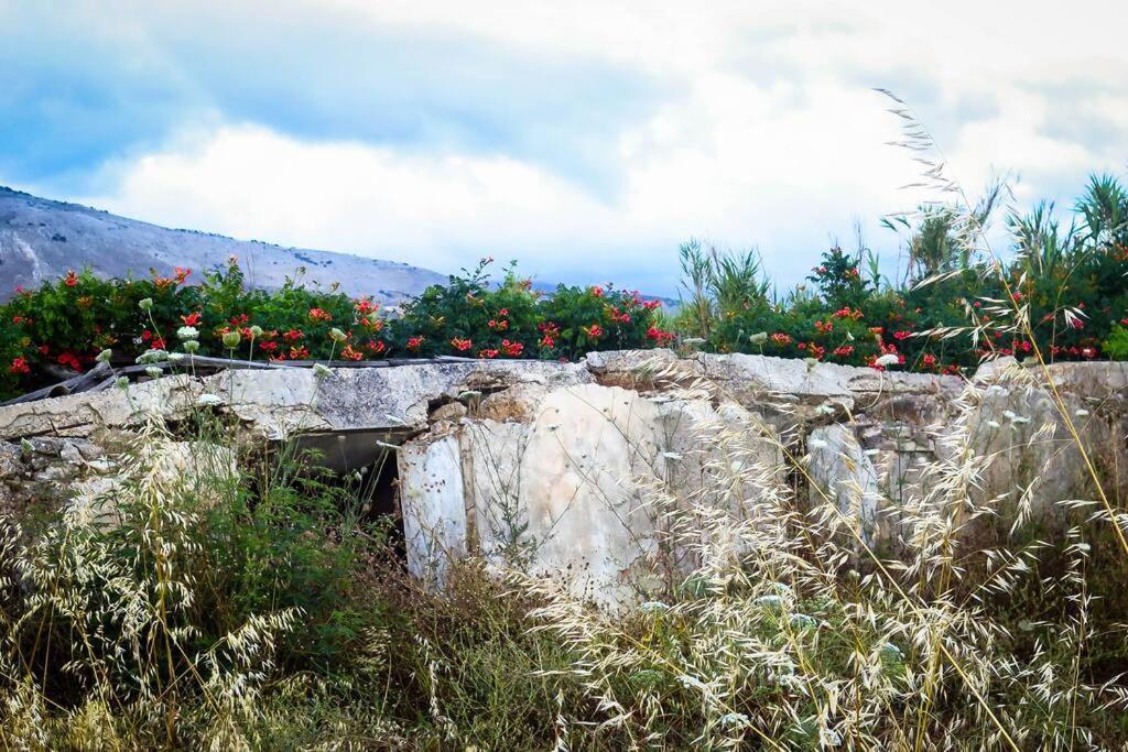 Villa Rania: Ευάερη Βίλα Με Θέα Τη Θάλασσα Lixouri Esterno foto