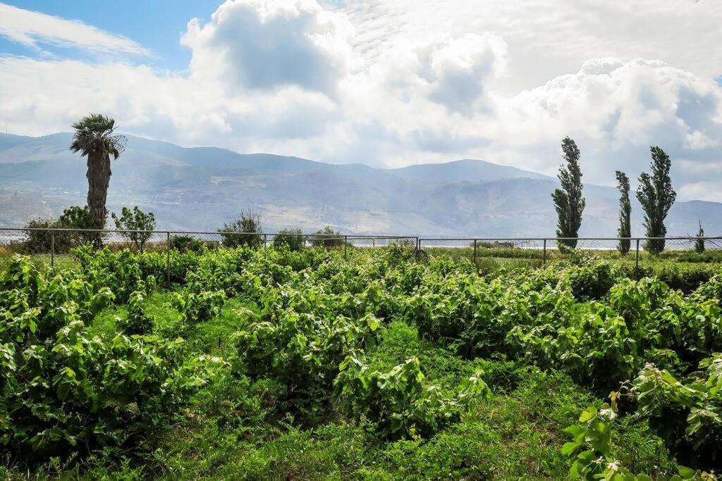 Villa Rania: Ευάερη Βίλα Με Θέα Τη Θάλασσα Lixouri Esterno foto