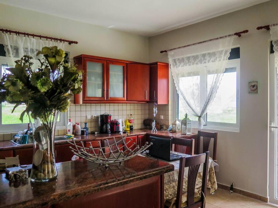 Villa Rania: Ευάερη Βίλα Με Θέα Τη Θάλασσα Lixouri Esterno foto
