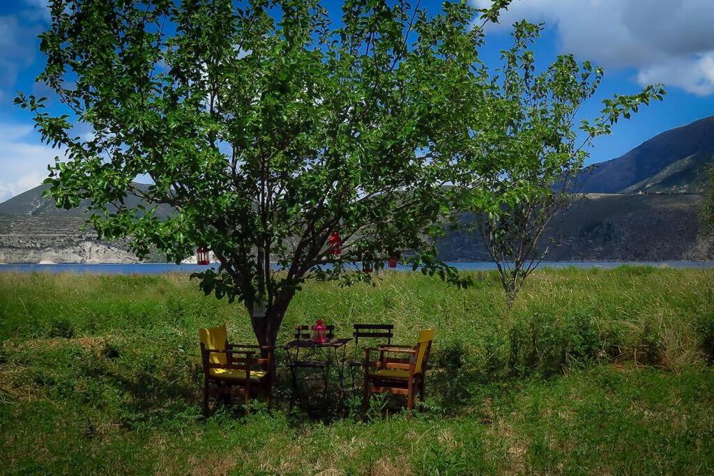 Villa Rania: Ευάερη Βίλα Με Θέα Τη Θάλασσα Lixouri Esterno foto